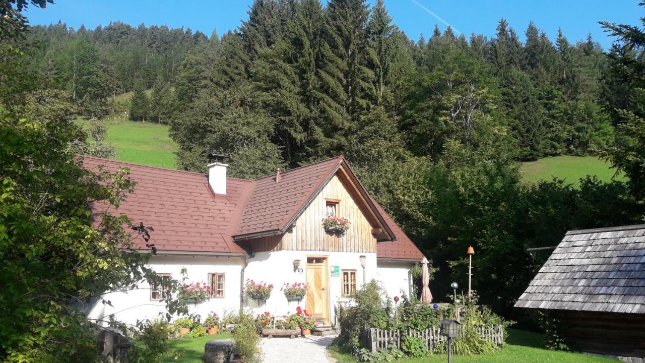 Ferienhaus Lenzau Strohmarkt 外观 照片